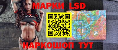 дмт Новозыбков
