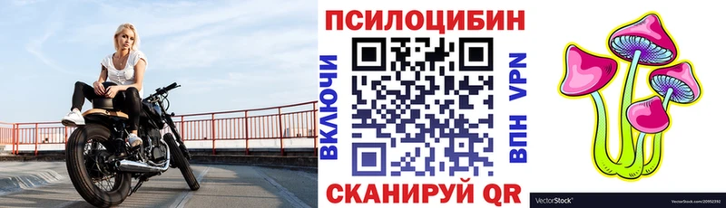 Галлюциногенные грибы мицелий Стерлитамак