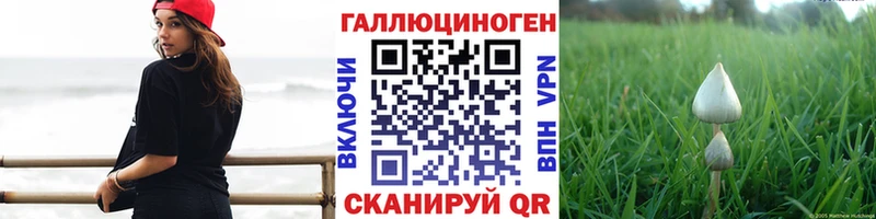 Псилоцибиновые грибы прущие грибы Стерлитамак