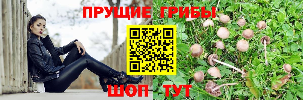 Псилоцибиновые грибы MAGIC MUSHROOMS  Вход с VPN  Стерлитамак 