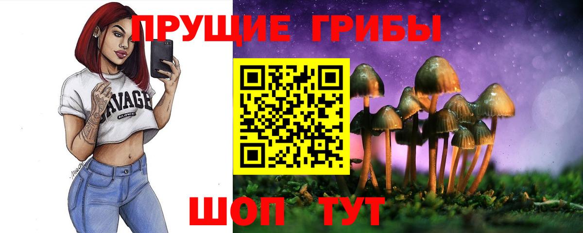 Псилоцибиновые грибы мухоморы Стерлитамак